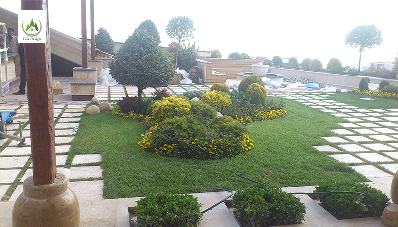 Picture 5